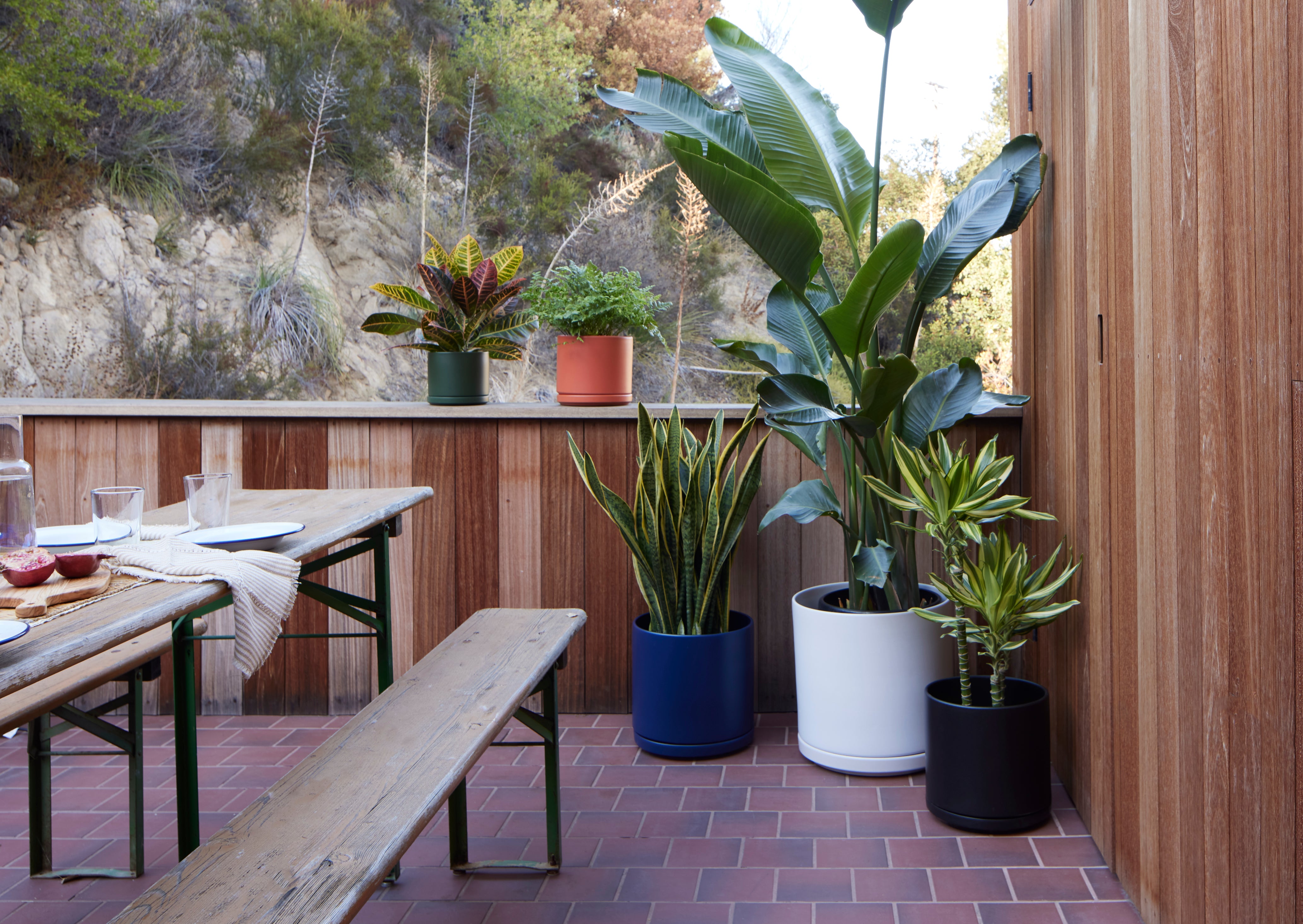 Minimalist Indoor Planter with Saucer