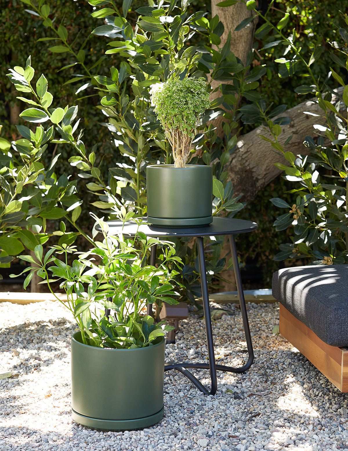 Minimalist Indoor Planter with Saucer