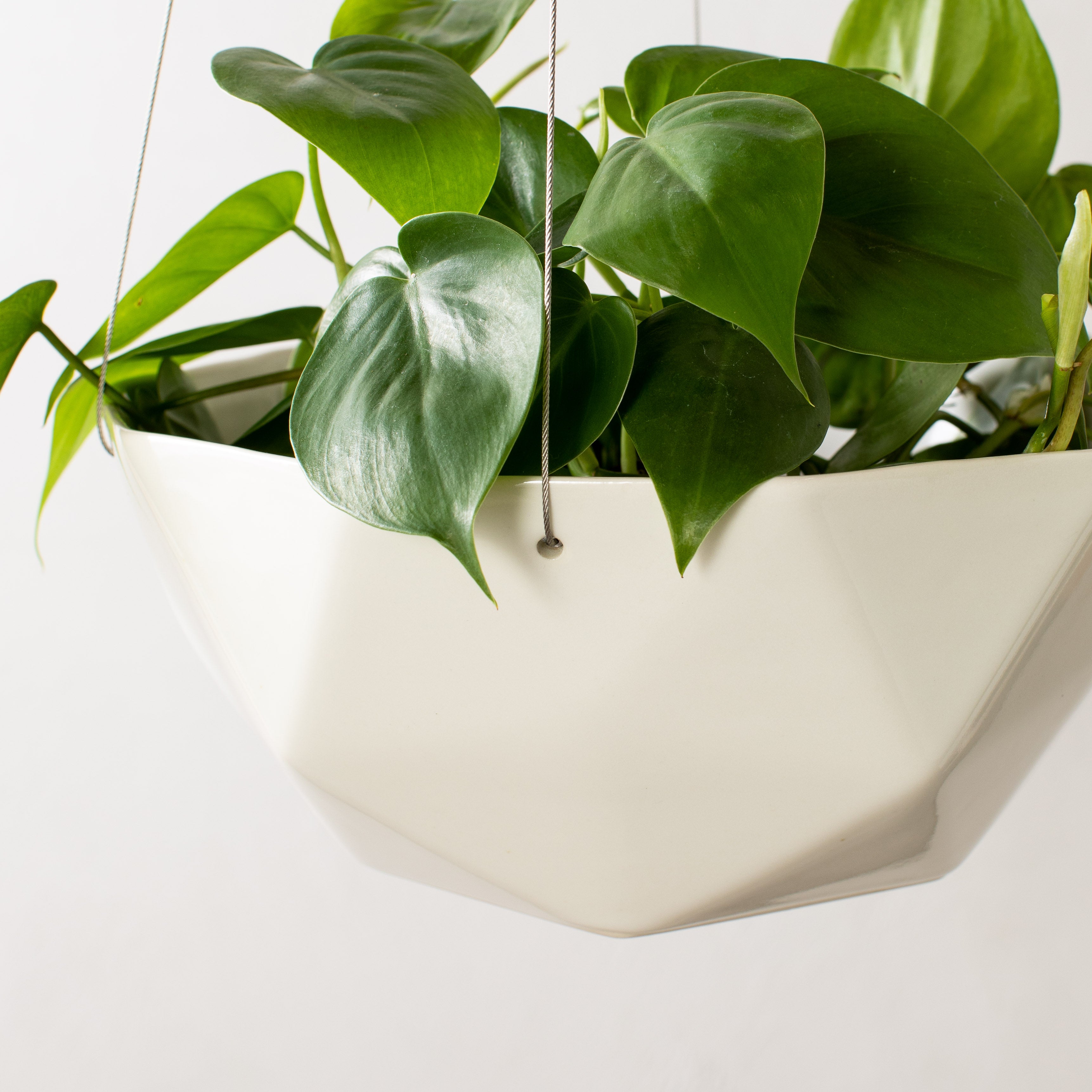 Geometric Hanging Planter | Porcelain image 4