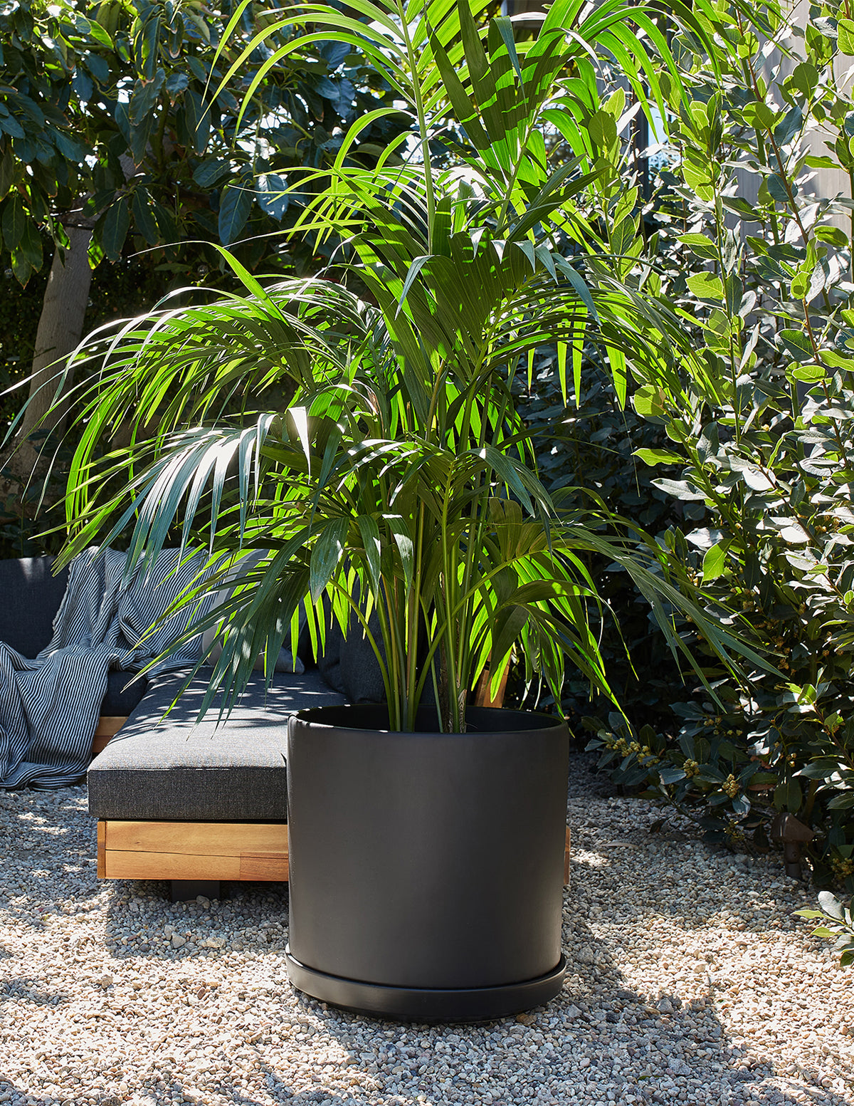 Minimalist Indoor Planter with Saucer
