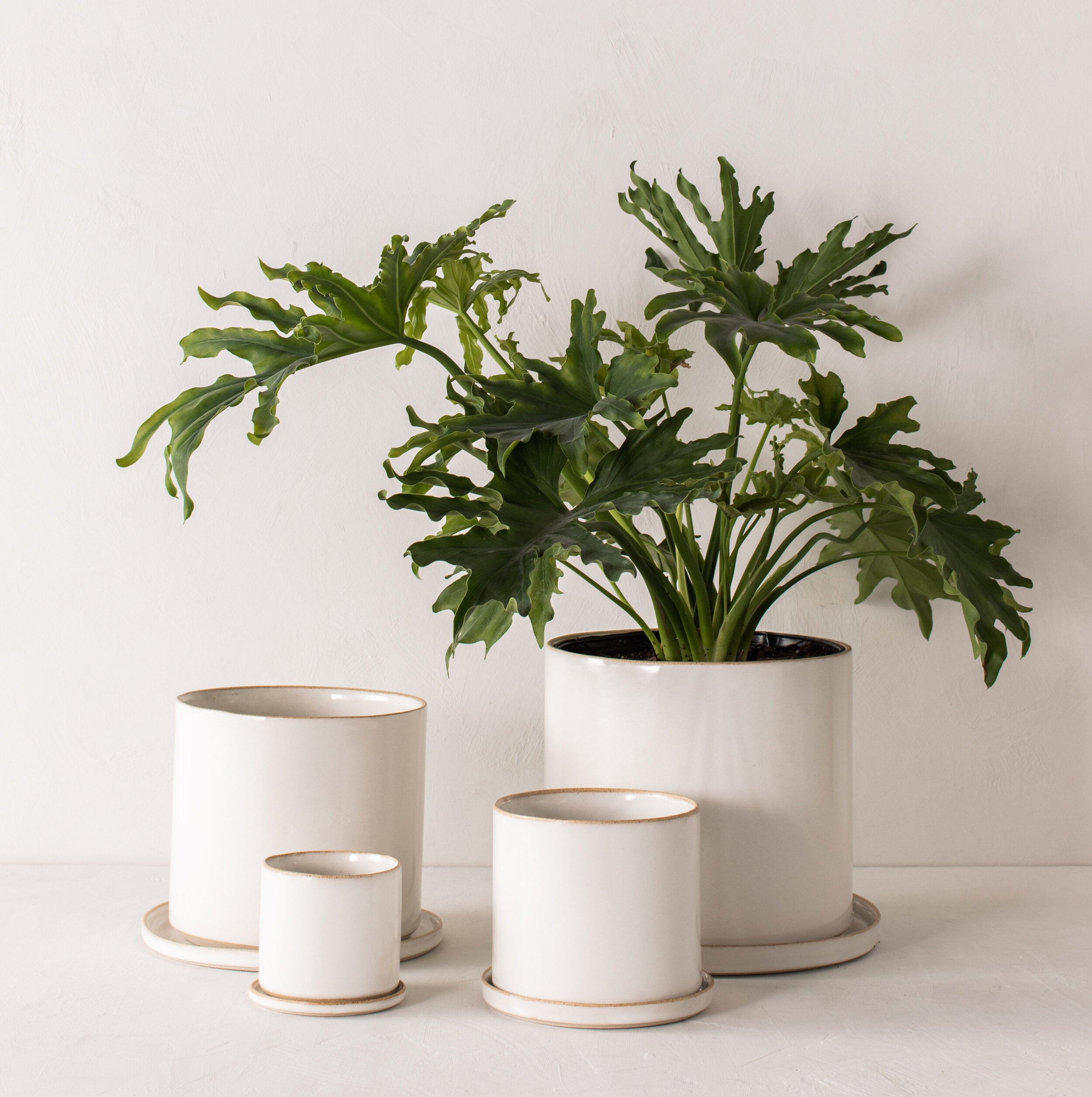 8" Minimal Planter | Stoneware image 5