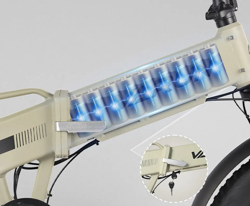 VARUN S20-1 battery detail