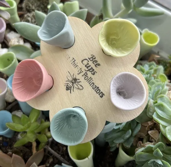 Pastel Variety Bee Vision Cups