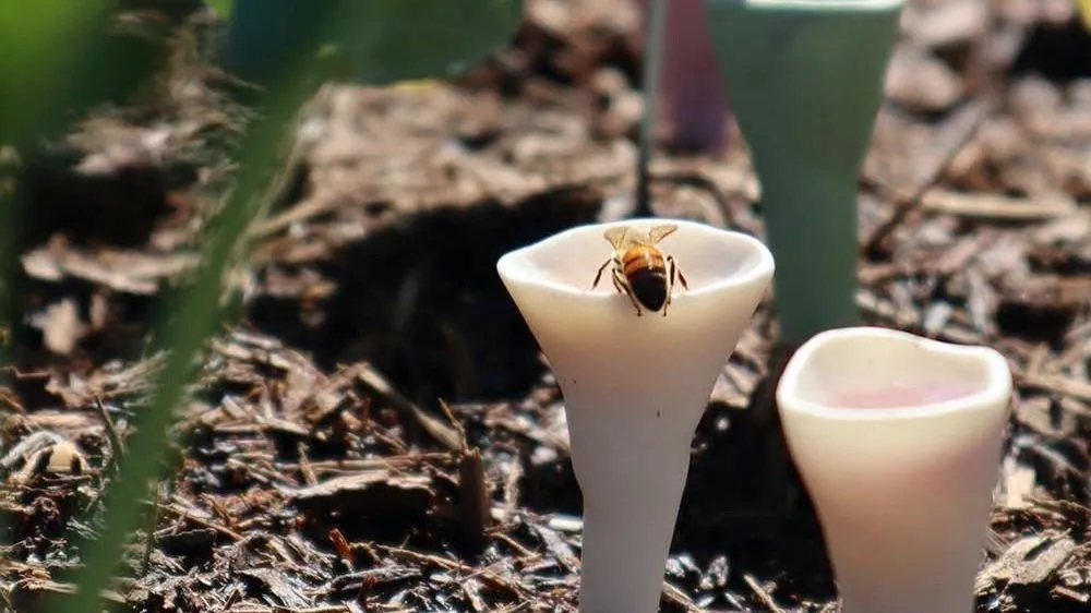 Pastel Variety Bee Vision Cups