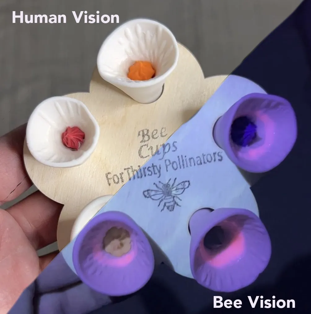 Pastel Variety Bee Vision Cups