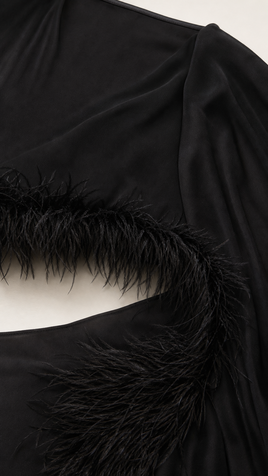 Close-up detail of delicate sheer fabric and plush black feather trim
