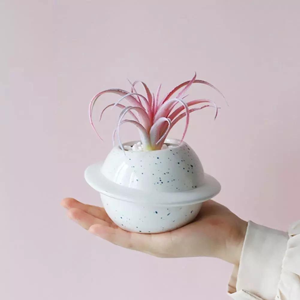 Cosmos World Ceramic Planter