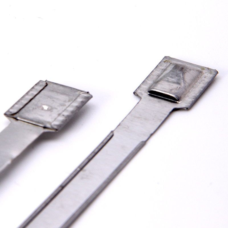 METAL STRIP SEALS SNS-S1