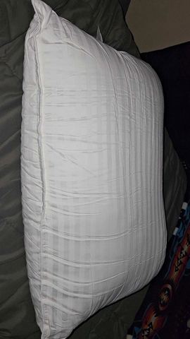 Customer photo for Queen Hotel-Style Pillows
