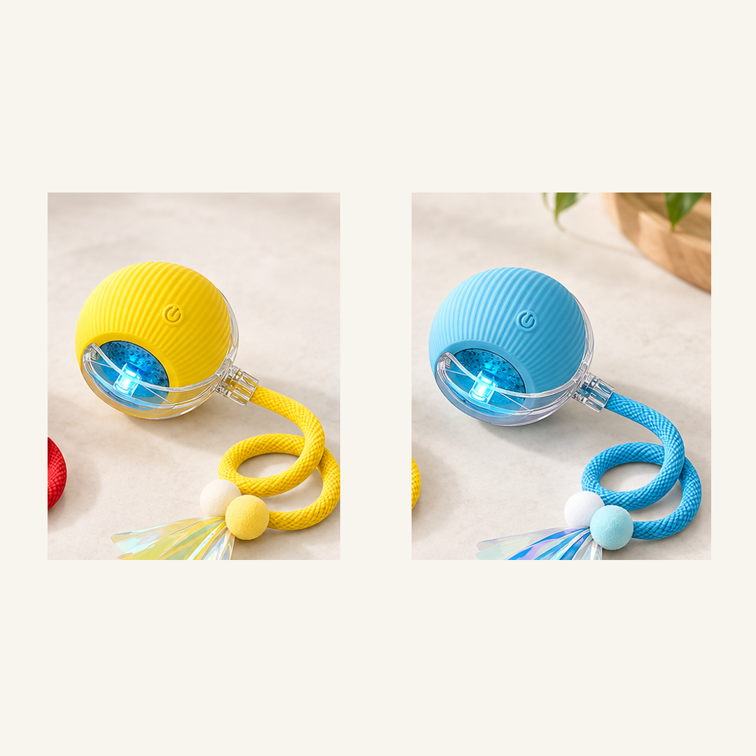 SKU image for pet teaser toy 2 pack Yellow and Blue
