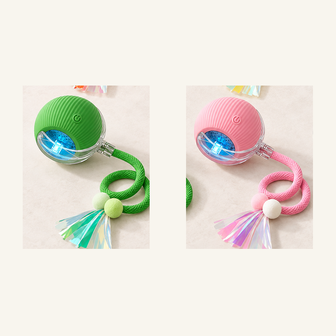 SKU image for pet teaser toy 2 pack Green and Pink