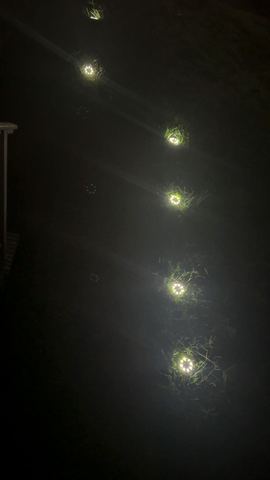 Customer photo for 24-Pack Solar Ground Lights