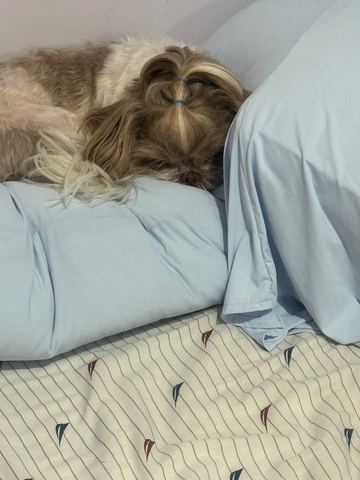 Customer photo for Cooling Puff-Grid Pillow BOGO