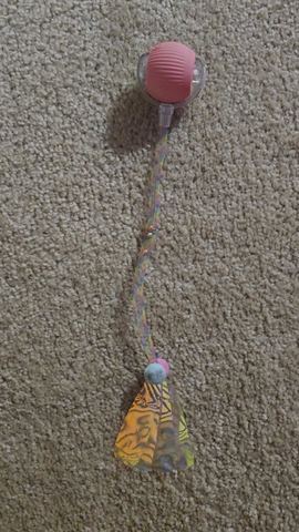 Customer photo for Interactive Cat & Dog Teaser Toy 2-Pack