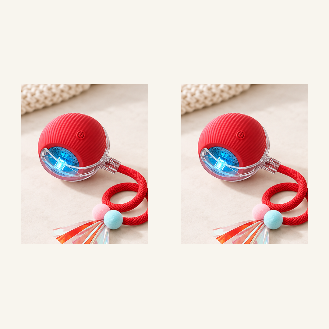 SKU image for pet teaser toy 2 pack Red and Red