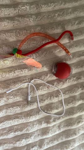 Customer photo for Interactive Cat & Dog Teaser Toy 2-Pack