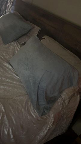 Customer photo for Queen Hotel-Style Pillows