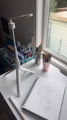 Customer photo for Magnetic Phone Tripod with HaloGlow Light BOGO Bundle