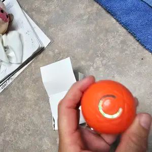 Customer photo for Rechargeable Interactive Dog Ball 4-Pack