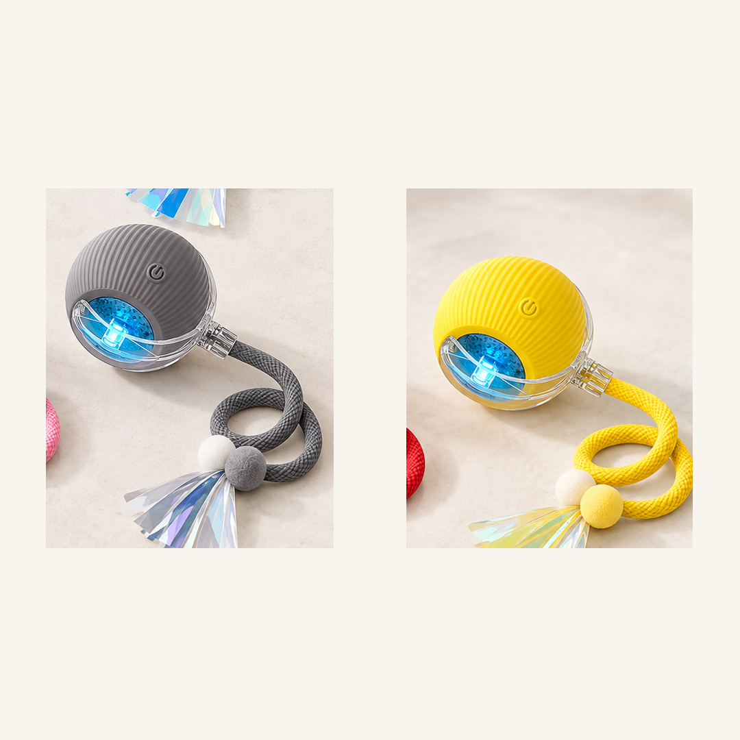 SKU image for pet teaser toy 2 pack Gray and Yellow