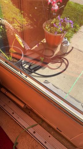 Customer photo for 100FT Heavy Duty Expandable Garden Water Hose 4-Pack