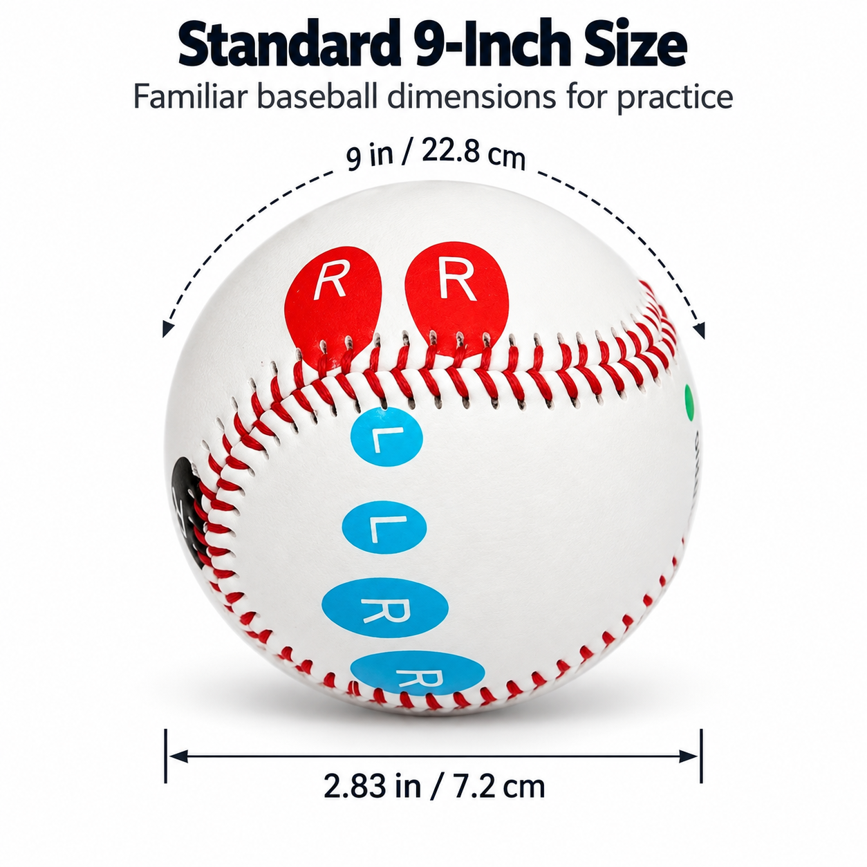 training baseball with 9 inch circumference and 2.83 inch diameter