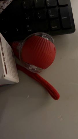 Customer photo for Interactive Cat & Dog Teaser Toy 2-Pack