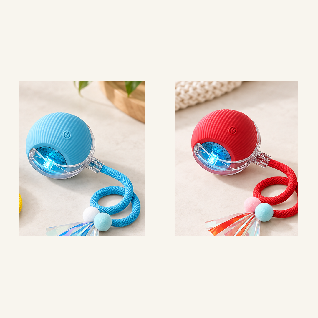 SKU image for pet teaser toy 2 pack Blue and Red