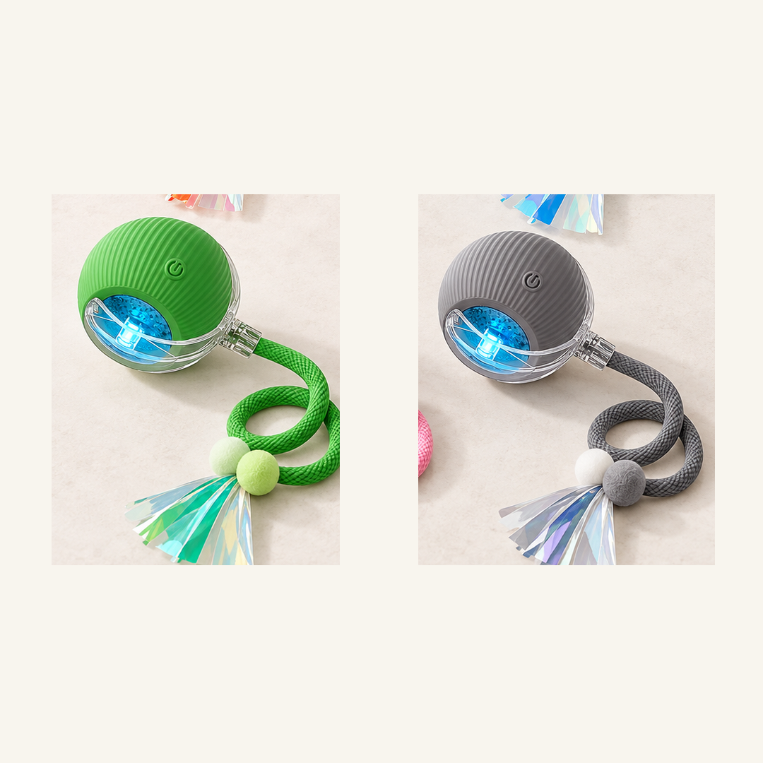 SKU image for pet teaser toy 2 pack Green and Gray