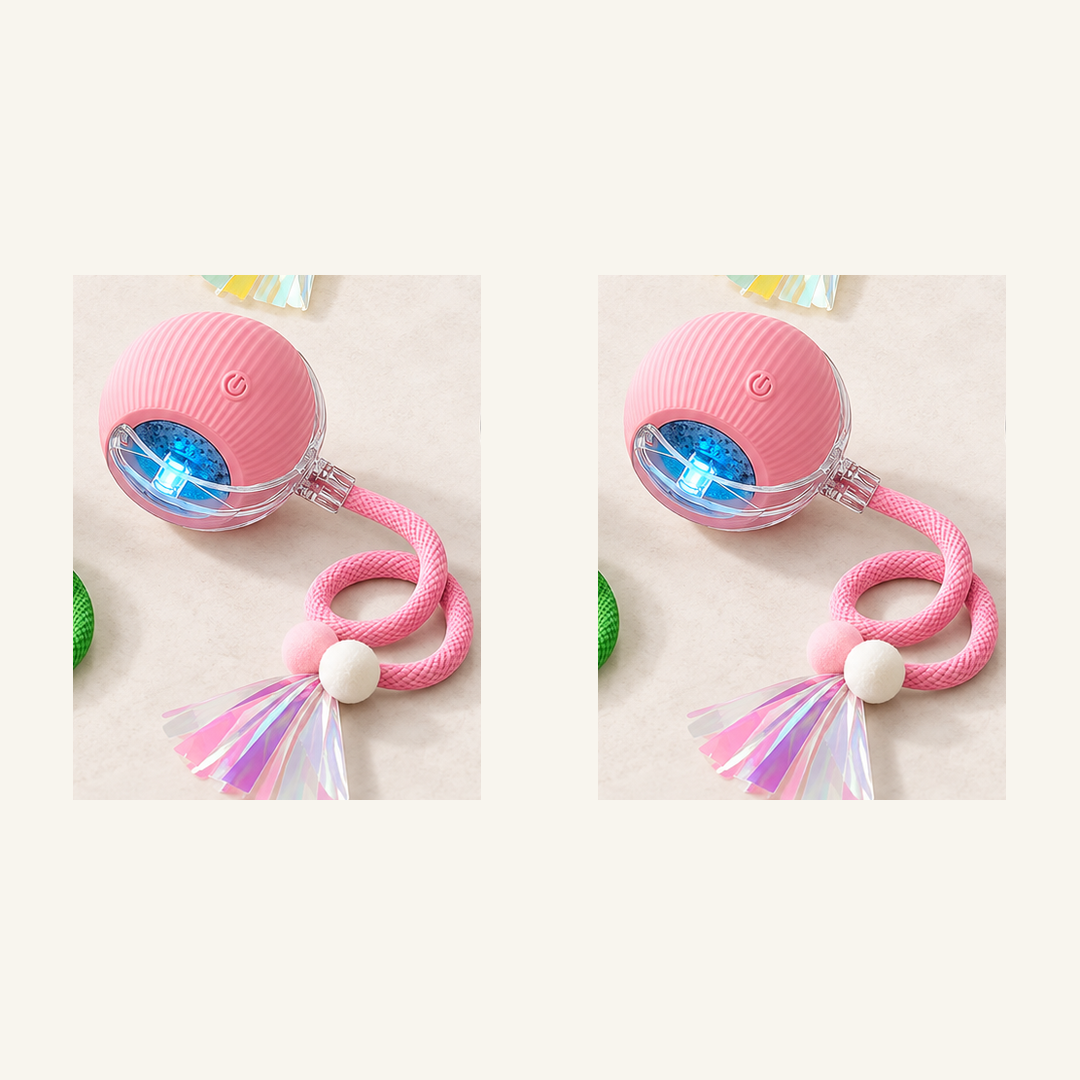 SKU image for pet teaser toy 2 pack Pink and Pink