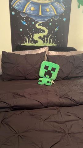 Customer photo for Queen Hotel-Style Pillows