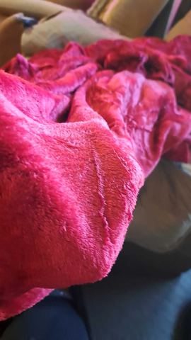 Customer photo for Velvet Plush Flannel 4-Piece Sheet Set Bundle