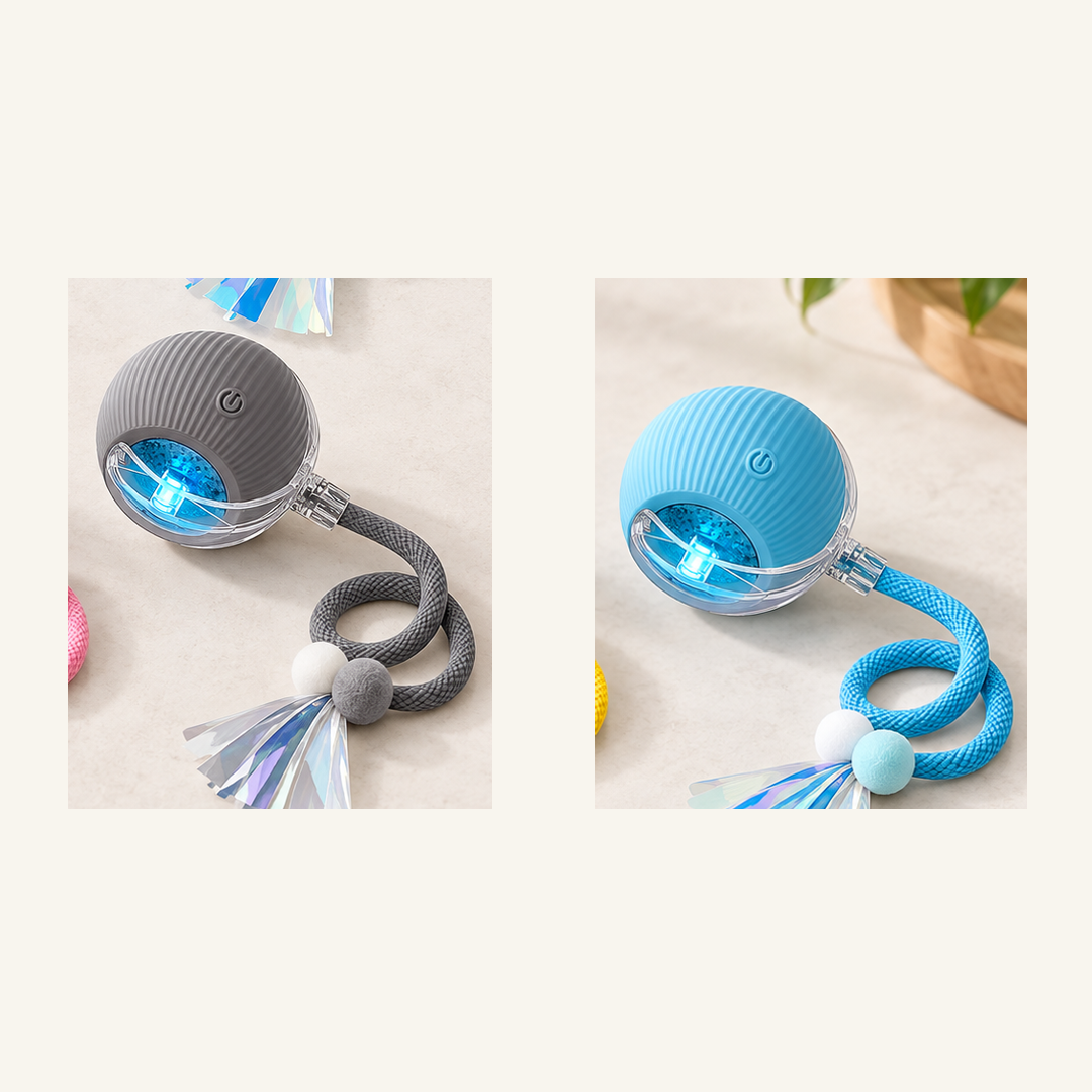 SKU image for pet teaser toy 2 pack Gray and Blue