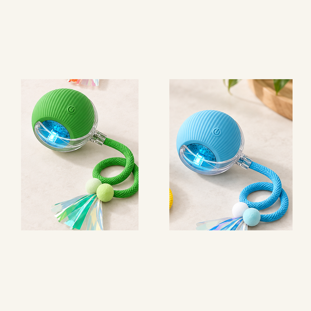 SKU image for pet teaser toy 2 pack Green and Blue