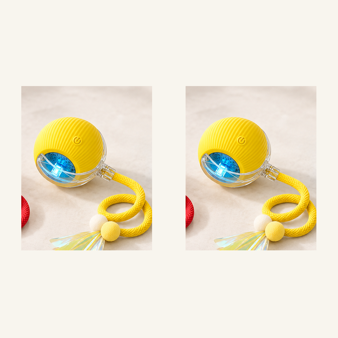 SKU image for pet teaser toy 2 pack Yellow and Yellow