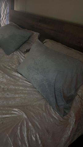 Customer photo for Queen Hotel-Style Pillows