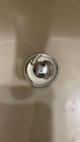 Customer photo for Stainless Steel Pop-Up Bathroom Sink Stopper Bundle