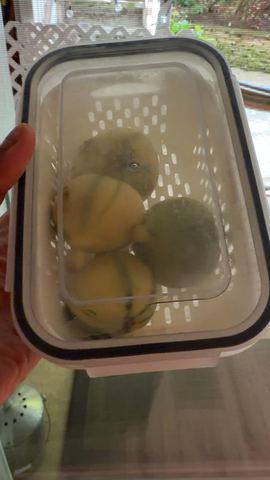 Customer photo for 5-Piece Fridge Organizer Containers - 2 Sets