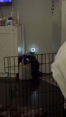 Customer photo for Dusk-to-Dawn LED Plug-In Night Light 20-Pack
