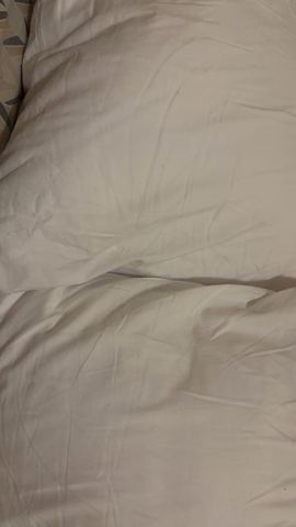 Customer photo for Queen Hotel-Style Pillows