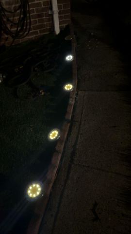 Customer photo for 24-Pack Solar Ground Lights