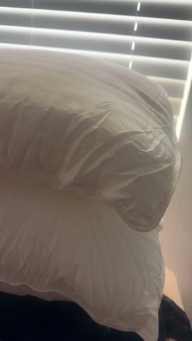Customer photo for Queen Hotel-Style Pillows