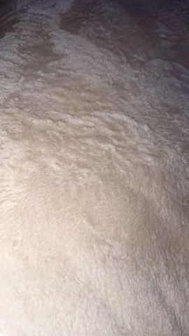 Customer photo for Velvet Plush Flannel 4-Piece Sheet Set Bundle