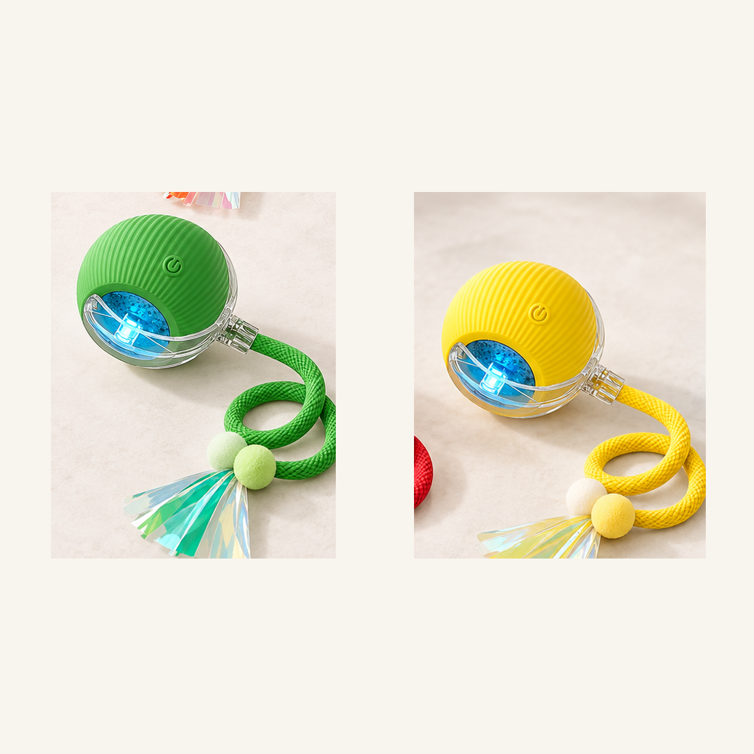 SKU image for pet teaser toy 2 pack Green and Yellow