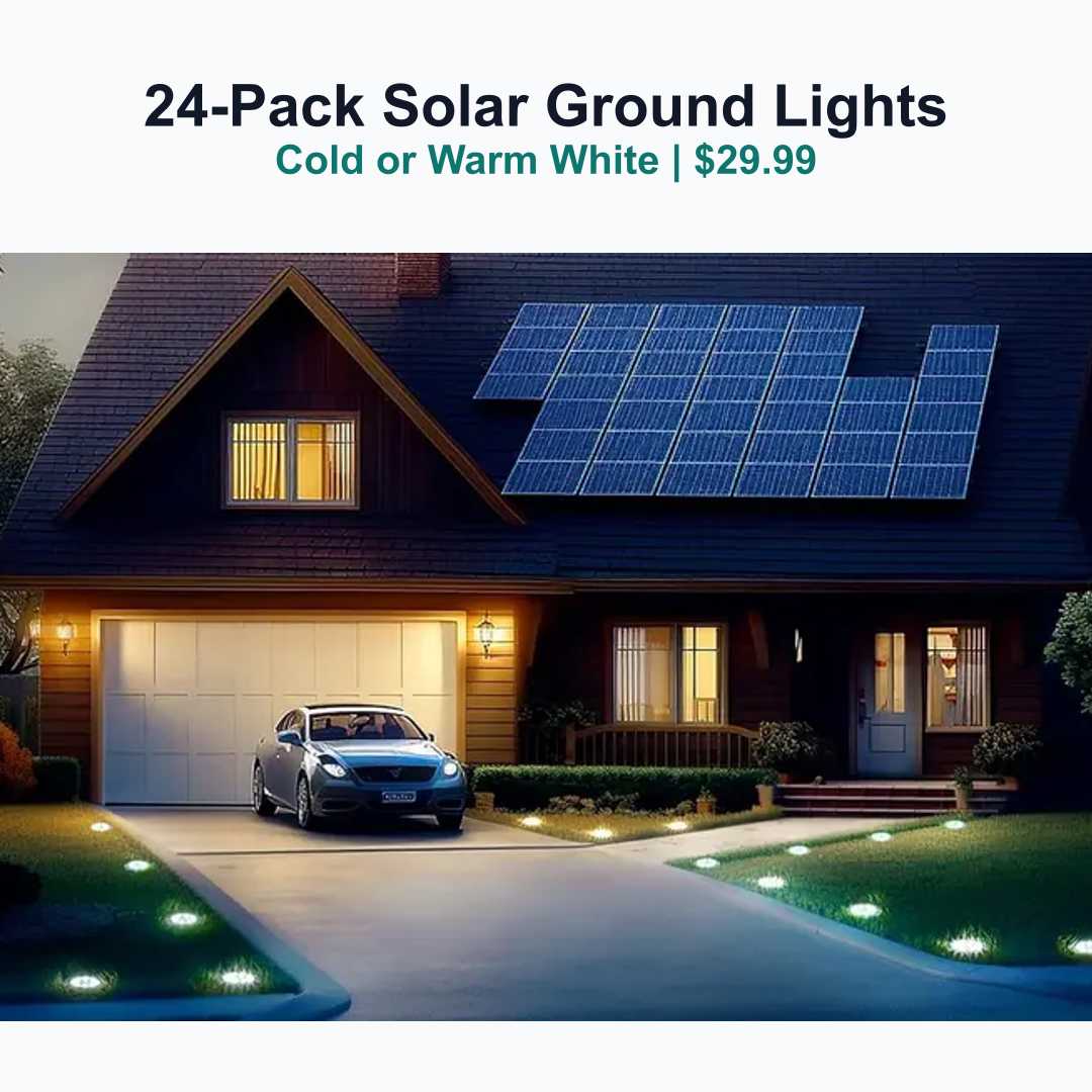 24 pack solar ground lights in driveway scene