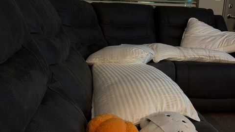 Customer photo for Queen Hotel-Style Pillows