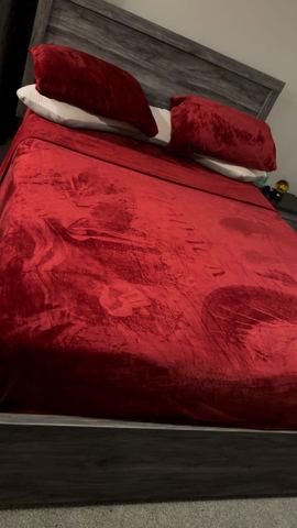 Customer photo for Velvet Plush Flannel 4-Piece Sheet Set Bundle