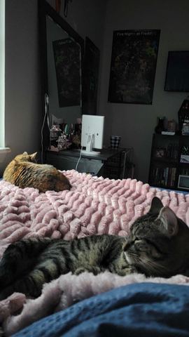Customer photo for King Channel-Stripe Fleece Blanket Bundles