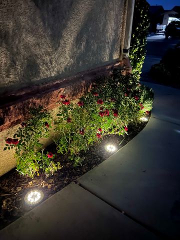 Customer photo for 24-Pack Solar Ground Lights