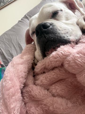 Customer photo for King Channel-Stripe Fleece Blanket Bundles
